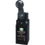 Выключатель дорожный FLS15M31P65