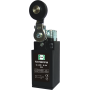 Выключатель дорожный FLS15M31P66
