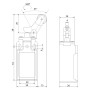 Выключатель путевой FLS15M36P65