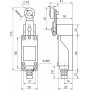 Выключатель путевой FLS15M8104P65